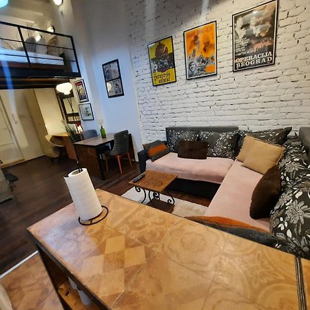 Authentic Belgrade Centre - Split Level Loft With Patio In Courtyard Apartman Kültér fotó